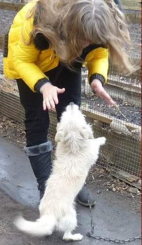 Олеся Андреева ♥ Beautiful Вitch ♥ | Москва