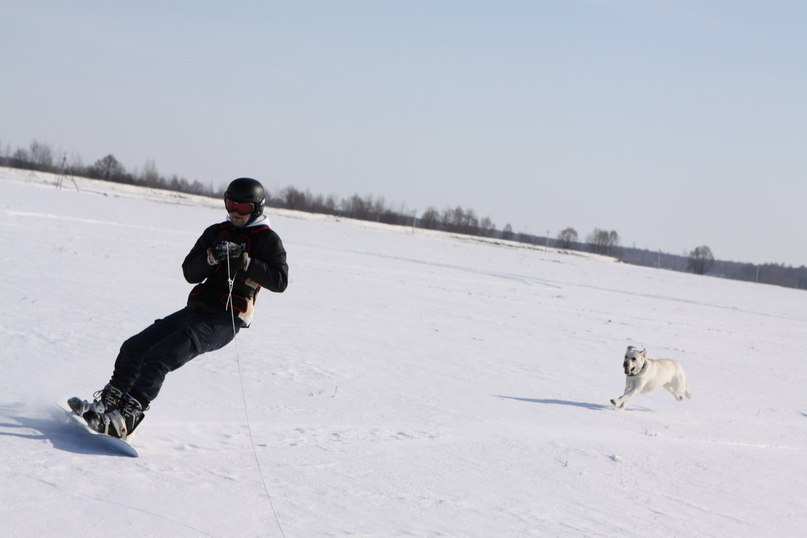 Макс Данишевский | Гомель
