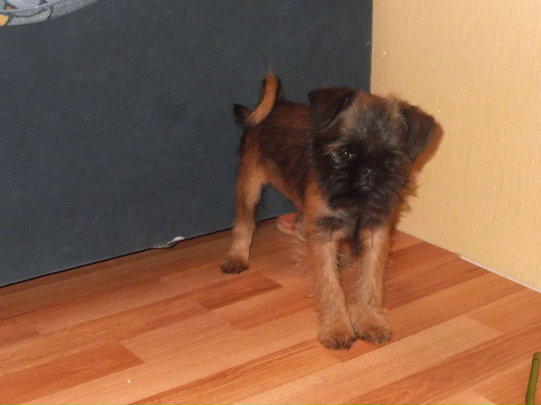 Наталья Васильева | Кировск