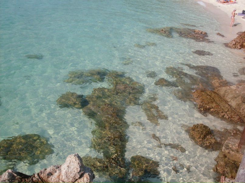 Светлана Федорова | Санкт-Петербург