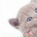 Елена Лисичкина | Шахтерск