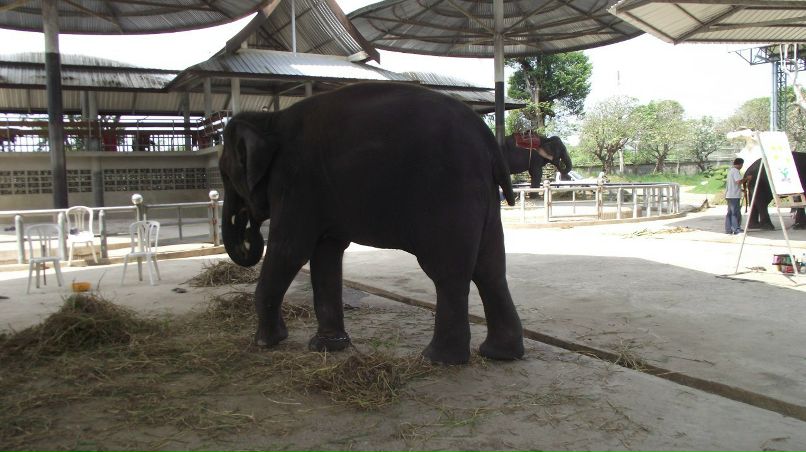 Наташа Корнацкая | Мончегорск