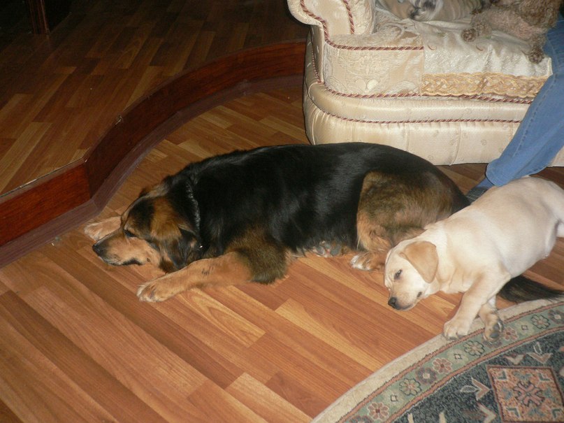 Аркадий Степанов | Москва