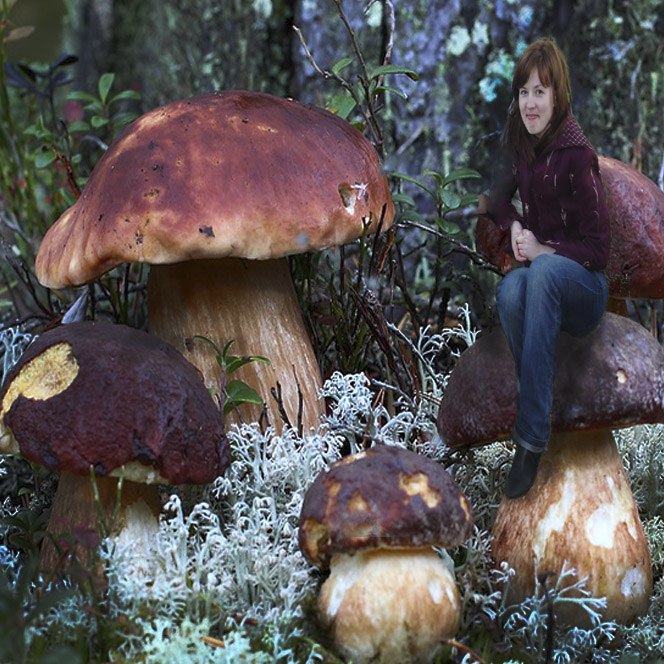 Ксения Зволейко | Харьков