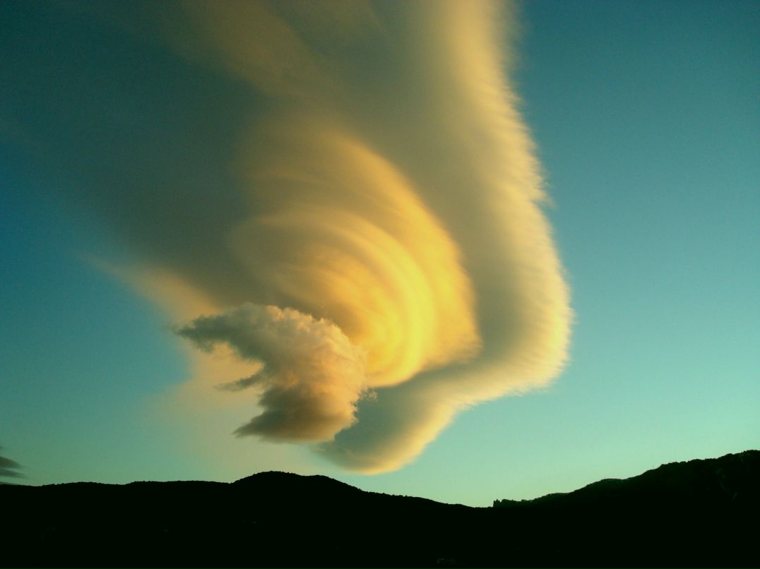 Fucken Inzshpicel - | 