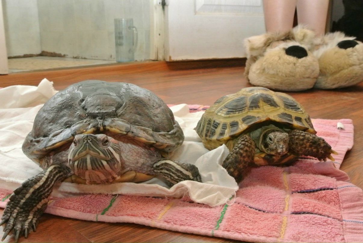 Тамара Рульникова | Москва