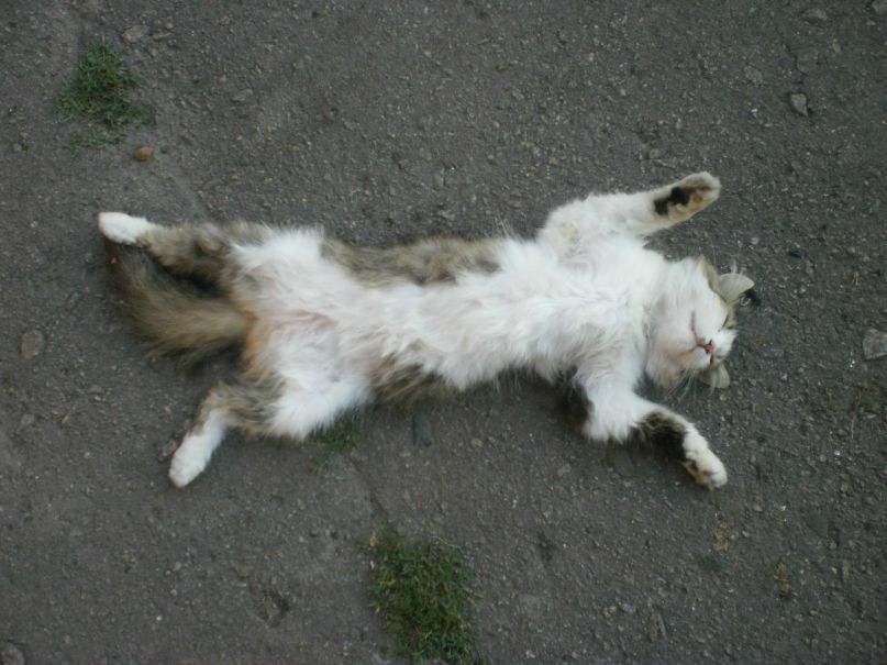 Ксюша Мохнюк | 