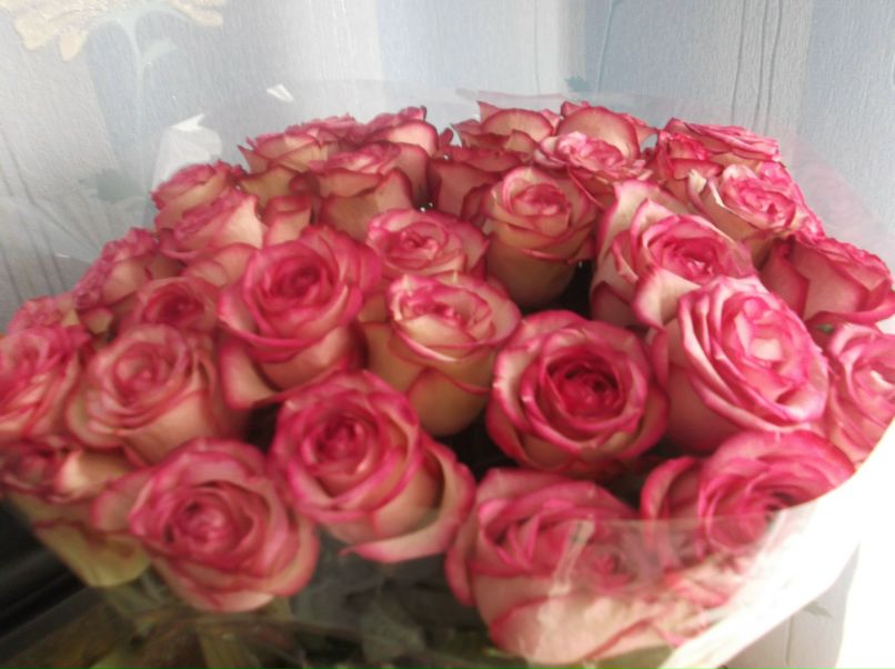 Айгуль Камалова | Казань