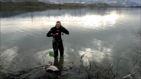 Александр Шехольцев | 