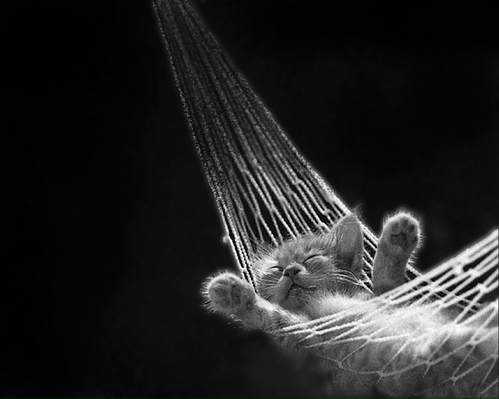 Олег Кривонос | Харьков