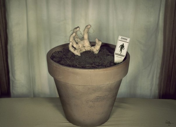 Евгений Палкин | Таганрог