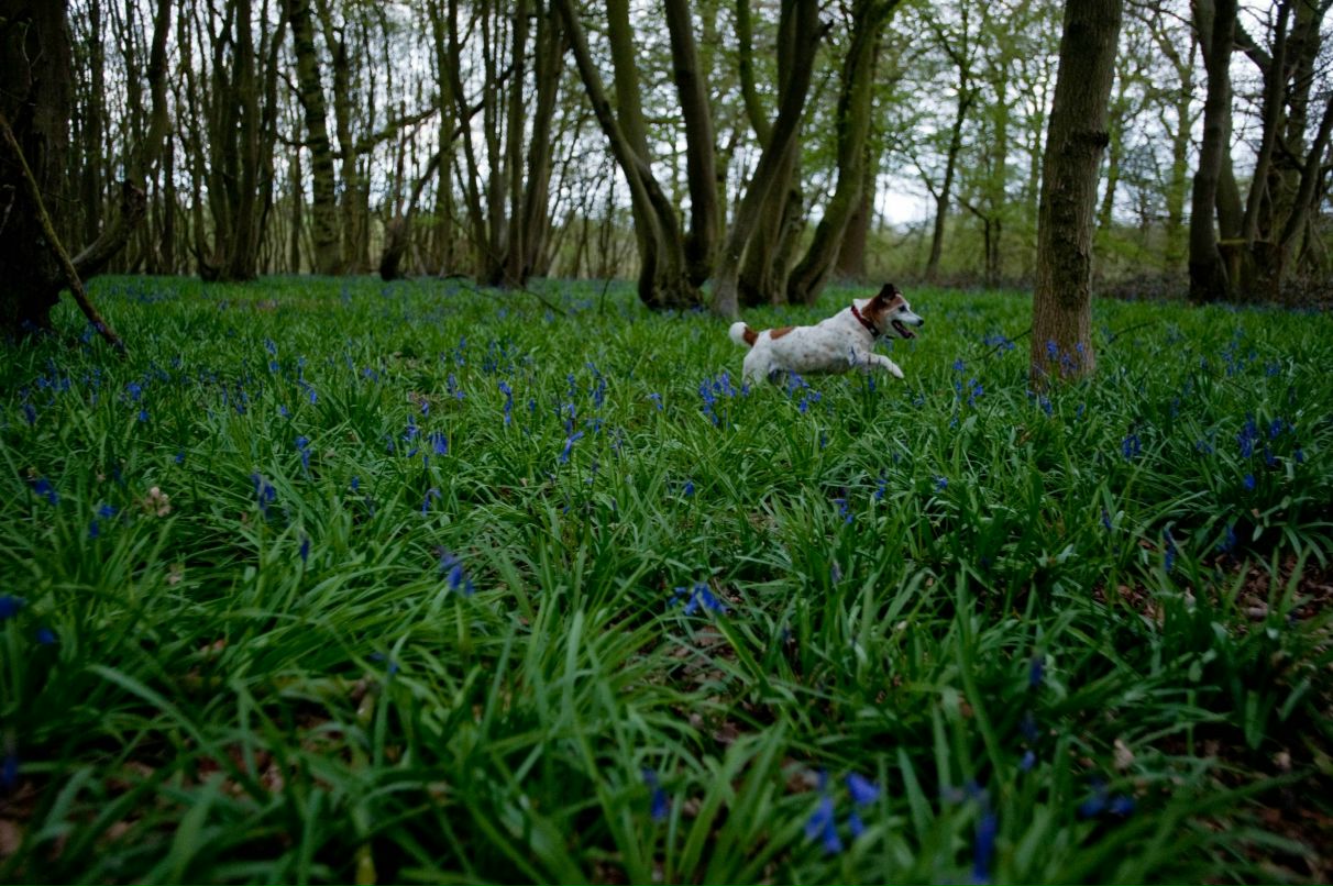 Галина Руденко | 
