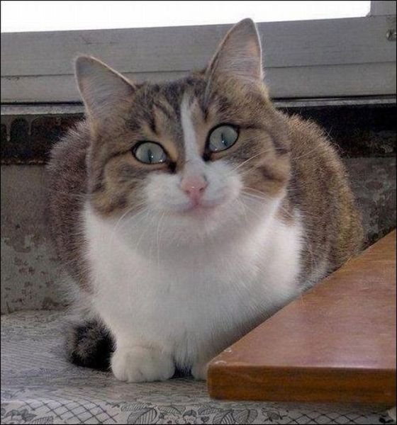 Виталий Боженов | Новокуйбышевск