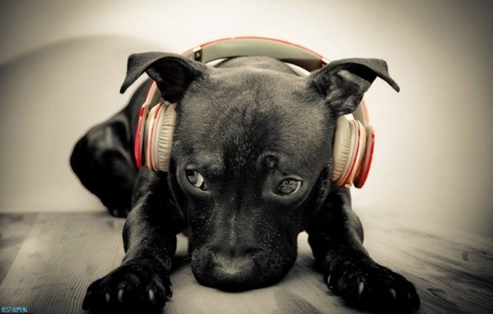 Екатерина Рожина | Санкт-Петербург