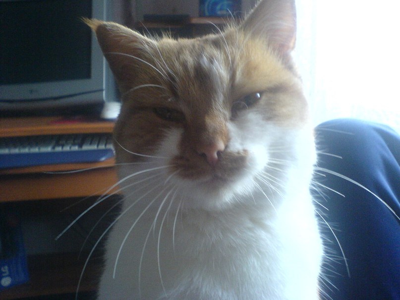 Влад Адамов vlad | Никополь