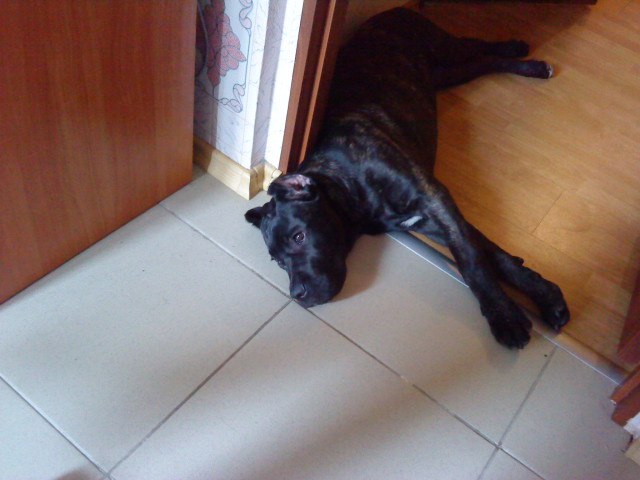 Виктория Кржиштофович | Киев