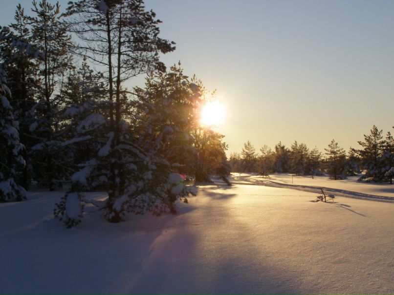 Александр Струченков | Санкт-Петербург