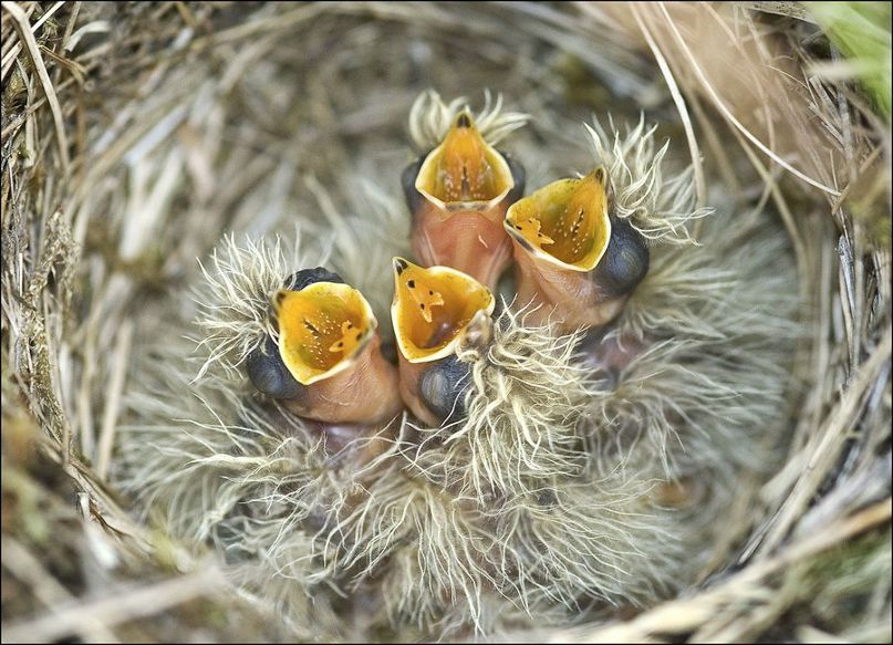 Надежда Лендина | Москва