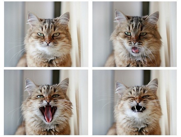 Wittysly Иванова | Нижний Новгород