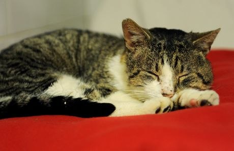 Марина Невская | Санкт-Петербург