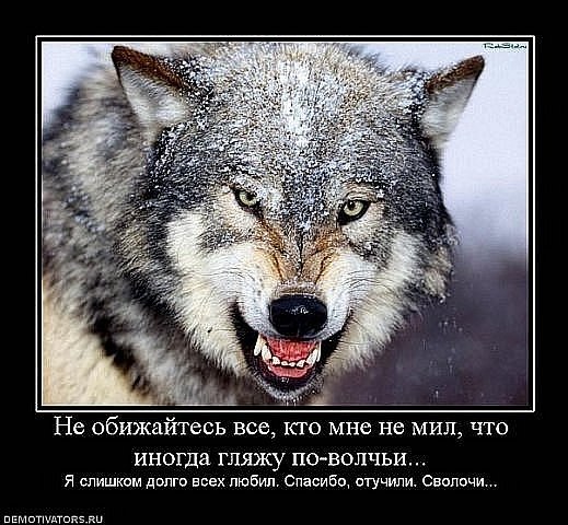 №2, Роман Савощенко №2, Роман Савощенко