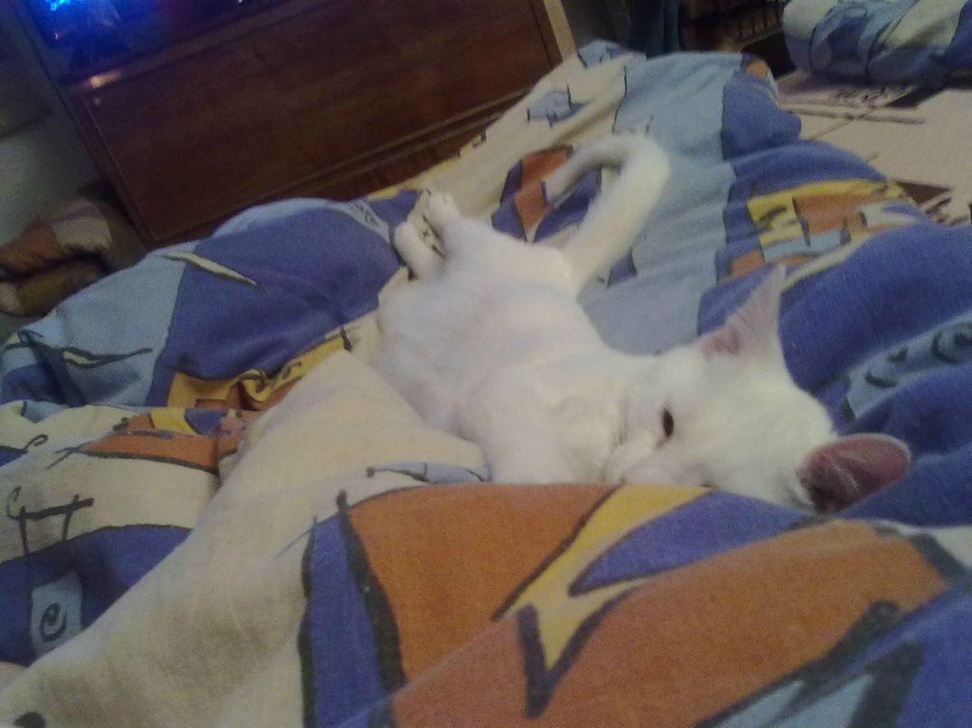 Ирина Григорьева ▀▄▀▄▀▄▀ | Санкт-Петербург