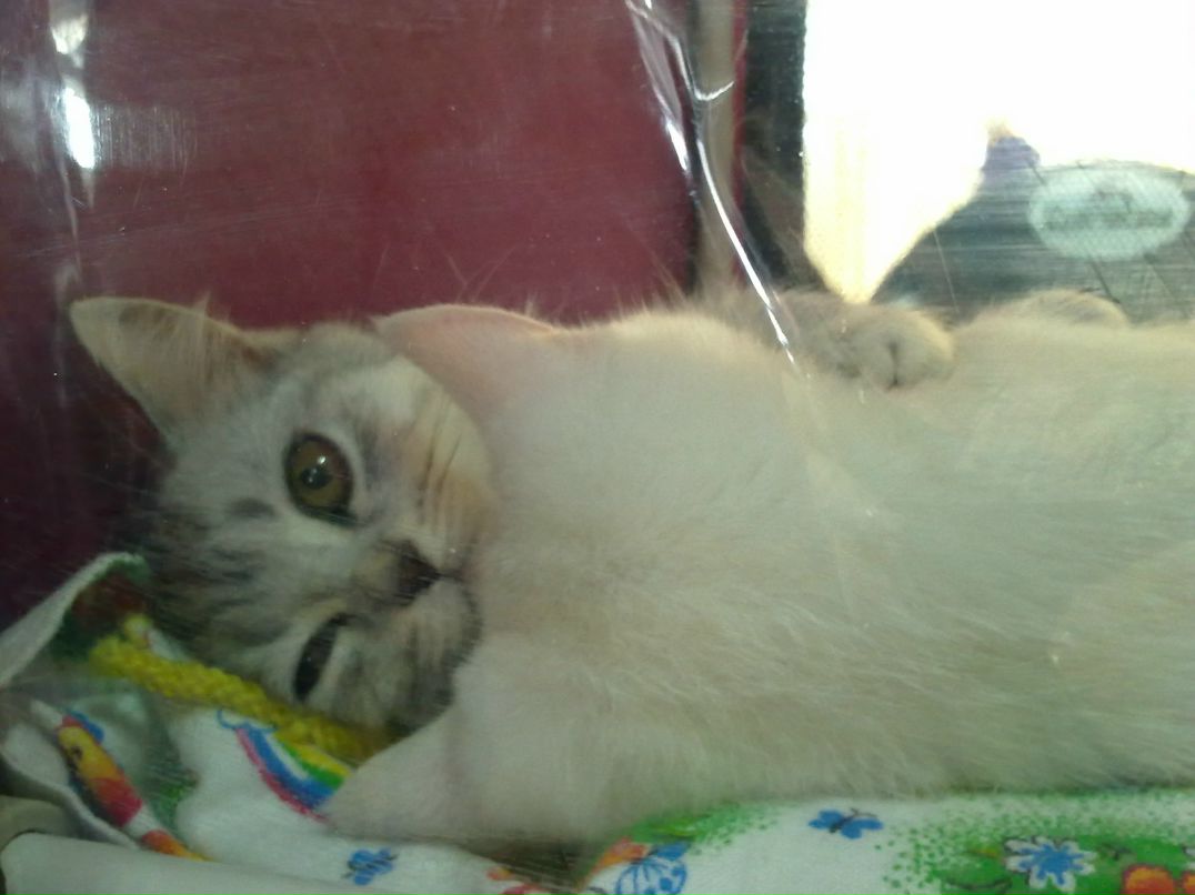 Сергей Сергеевич | Красноярск