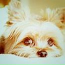 Ирина Соколова | Санкт-Петербург