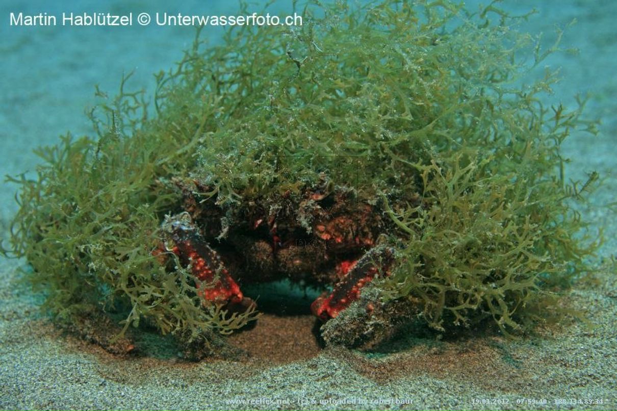 Андрей Рожков | Санкт-Петербург