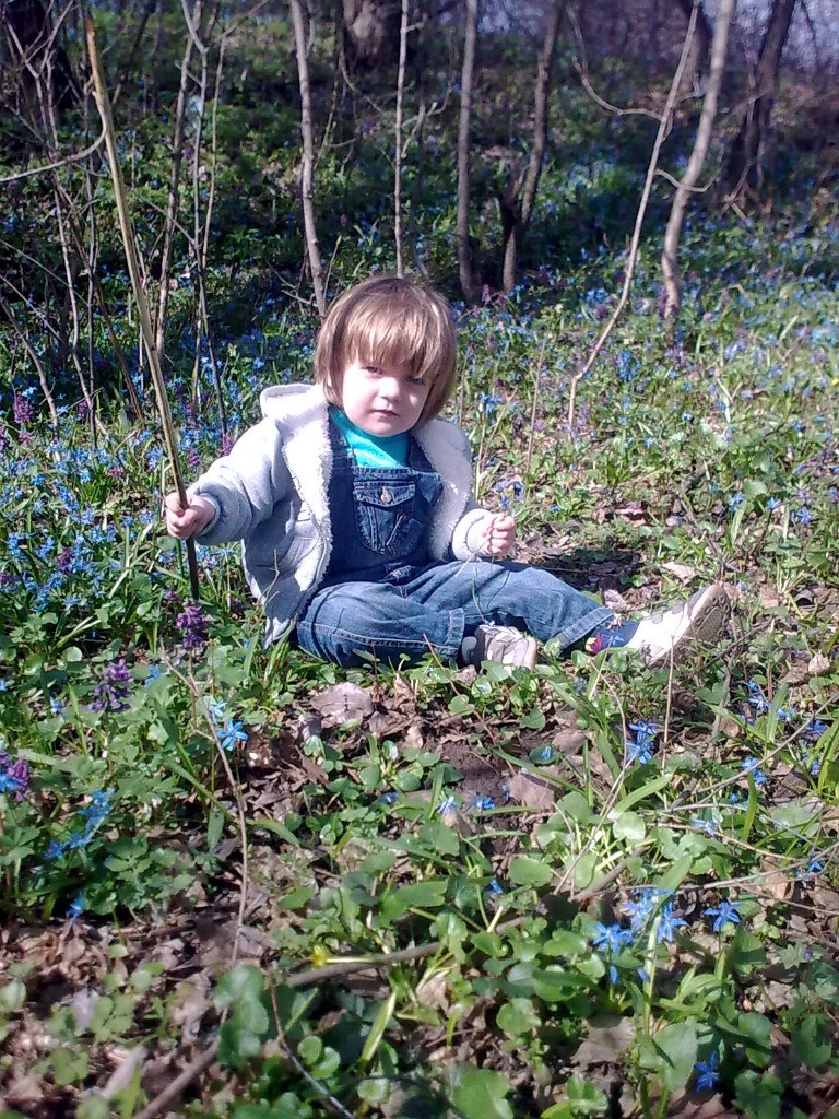 Александр Воеводин | Луганск