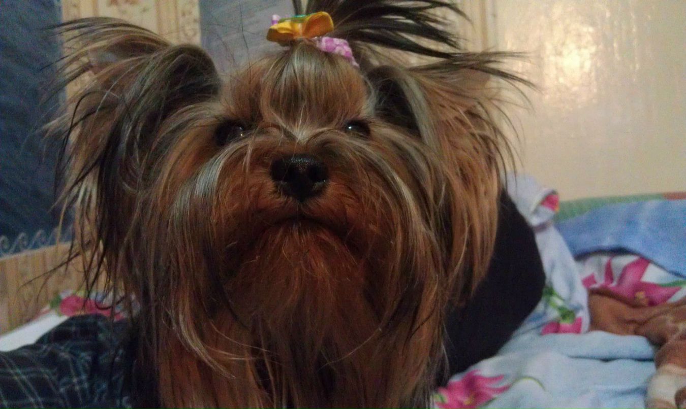 Элеонора Якимук | Москва