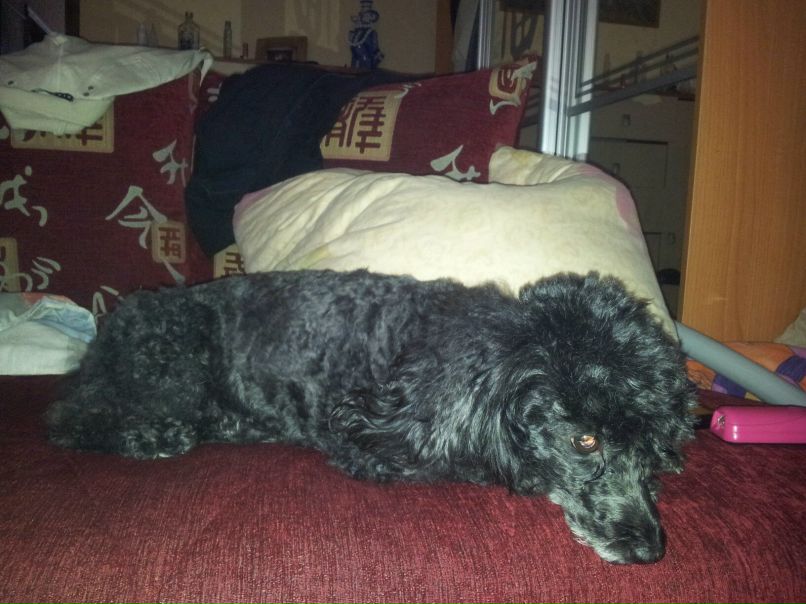 Марина Железнова | Сергиев Посад