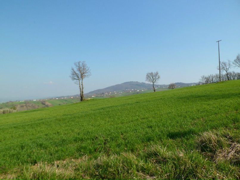 Андрій Хома | Тернополь