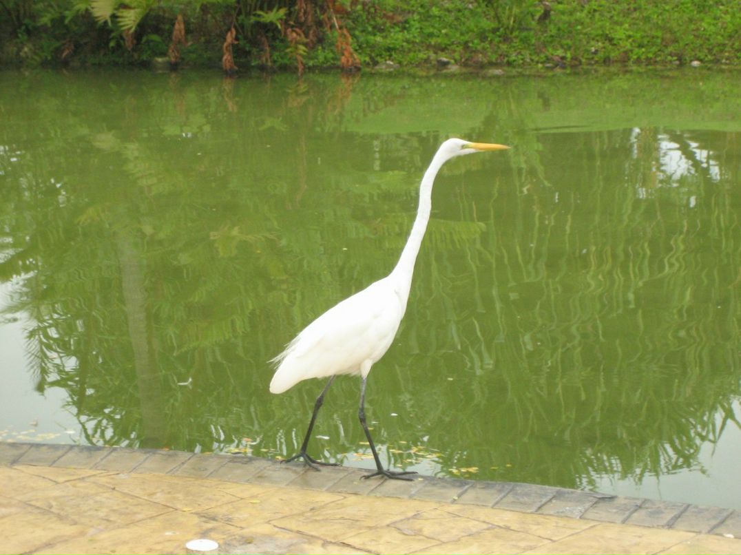 Виктория Угрюмова | Москва