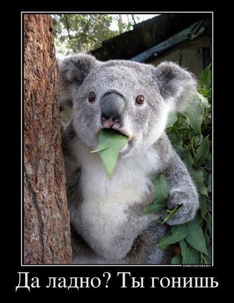 Ernest Hemingway | Dubai