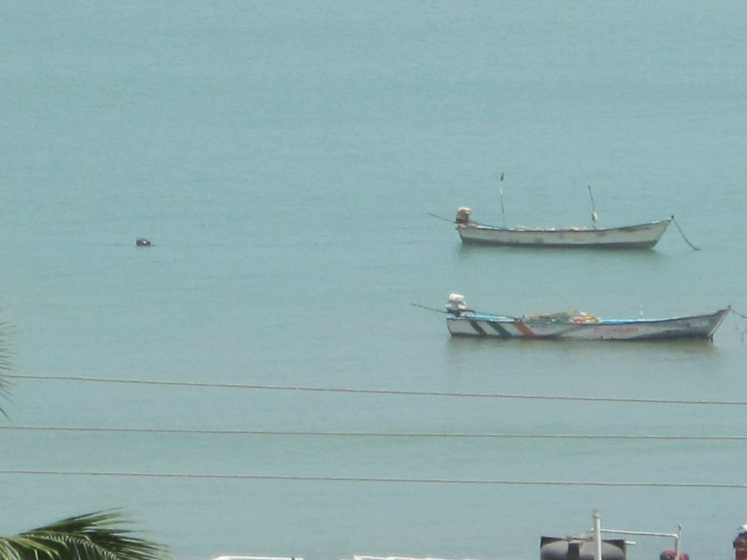 Rust Rust | Санкт-Петербург