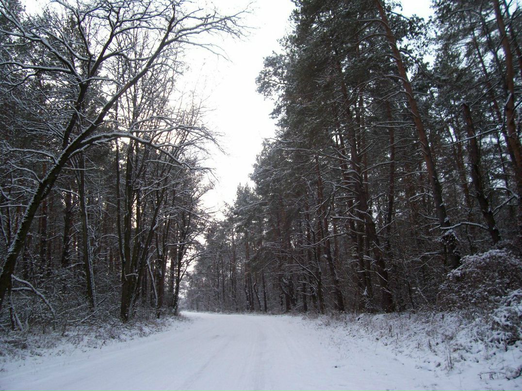 Макс Лукьяненко | Саратов