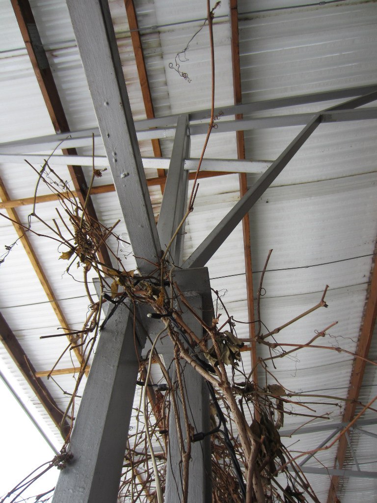 Юлия Мокеева | Москва