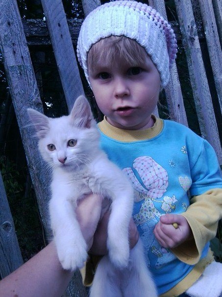 Илья Смирнов | Череповец