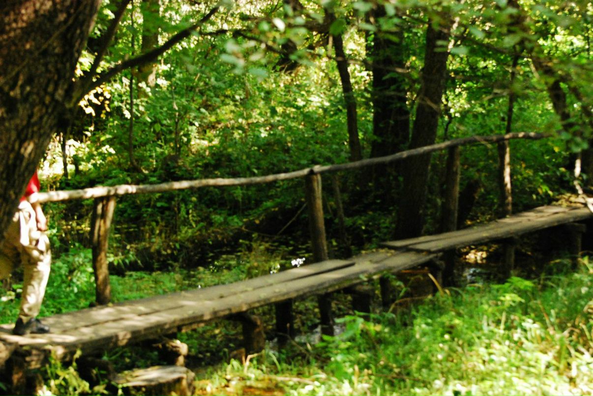 Варвара Колесник Demoni | Ростов-на-Дону