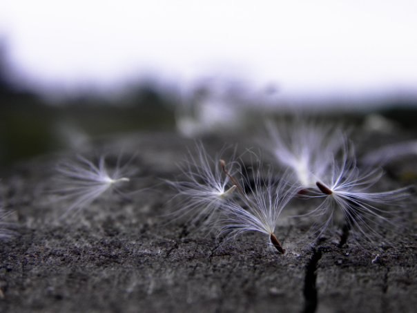 Марина Севрунова | Красноярск