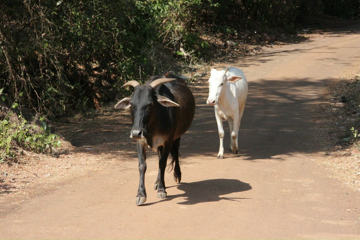 Анастасия Кузнецова | Москва