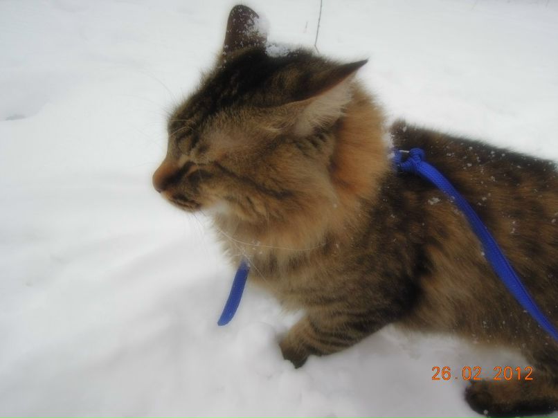 Татьяна Коломина | Ярославль