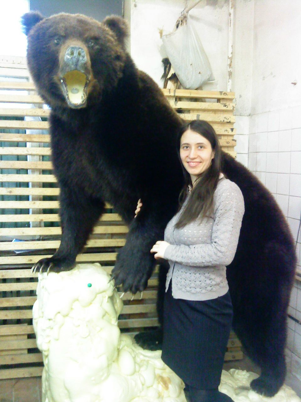 Fedoris Artemenkova Анастасия | Москва