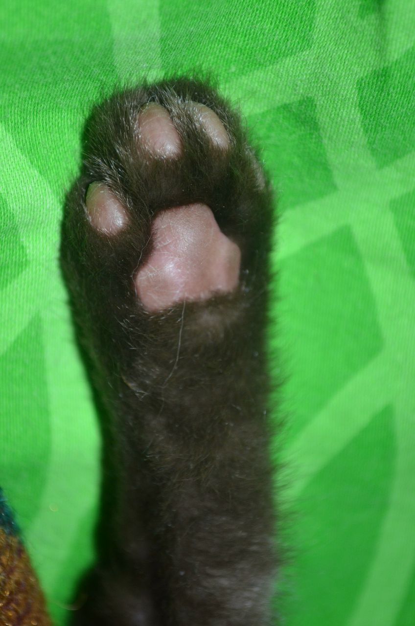 Наталья Сидорова | Санкт-Петербург