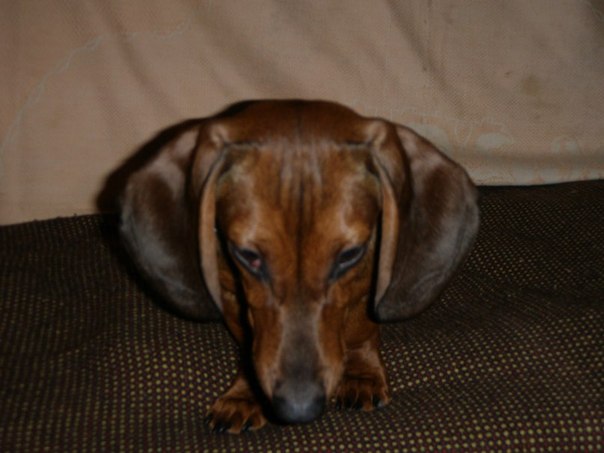 №108, Ирина Мессинг, Киев №108, Ирина Мессинг, Киев