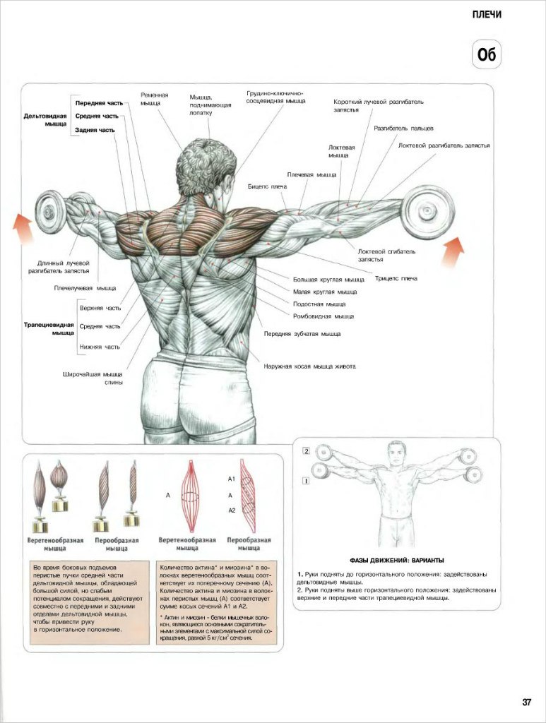Николай Яковенко | Новогуйвинское