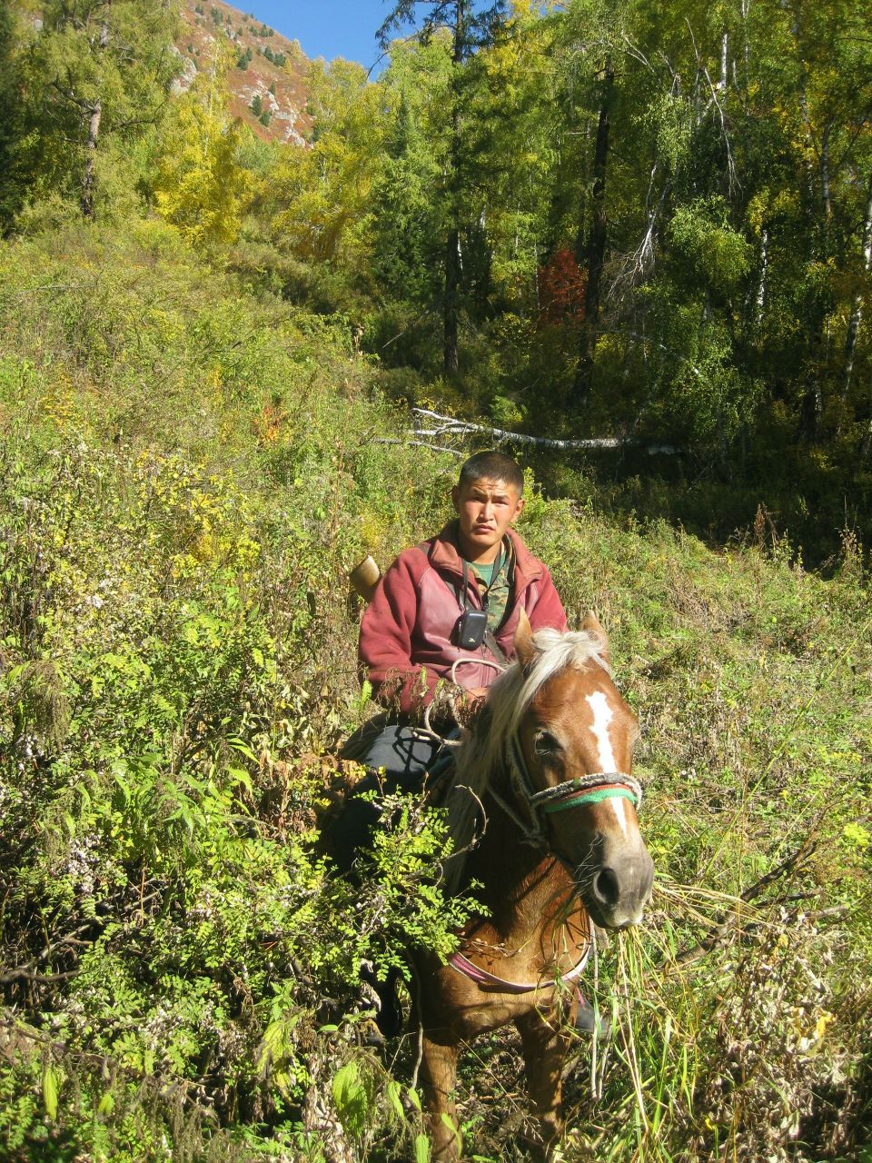 Айдар Токоеков | Улаган