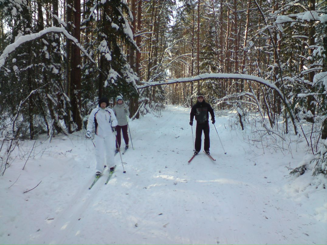 Дмитрий Шедогубов | Раменское