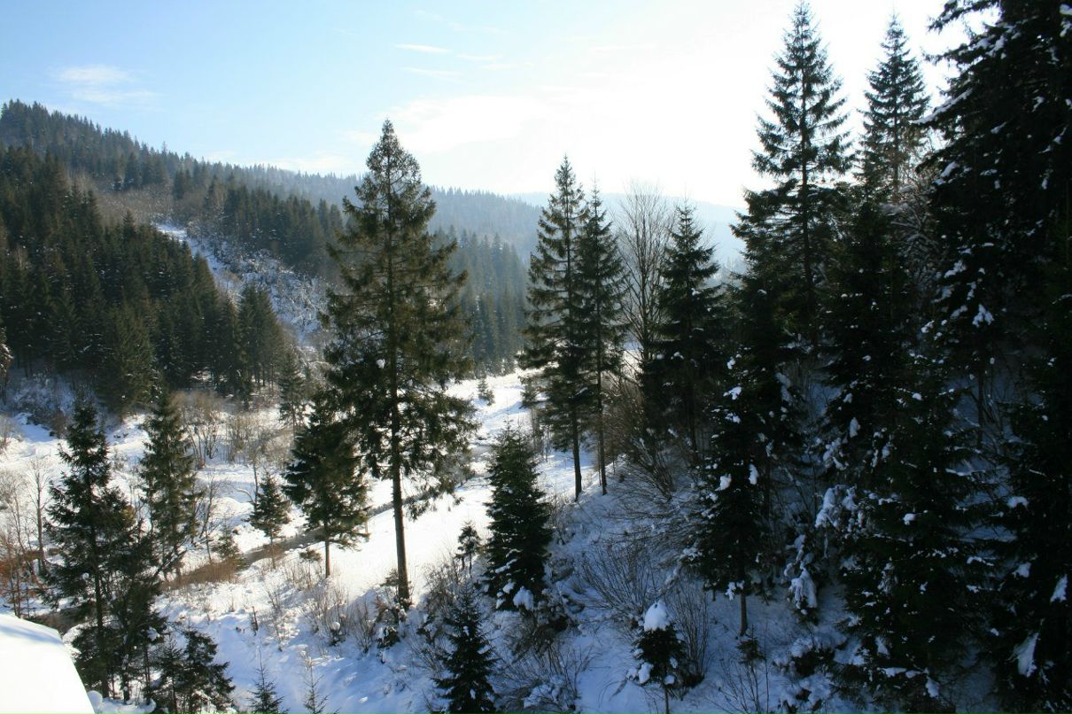 Станислав Сорочев | Одесса